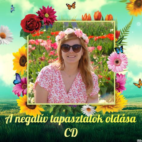pixiz-01-06-2024-11_29_48.jpg