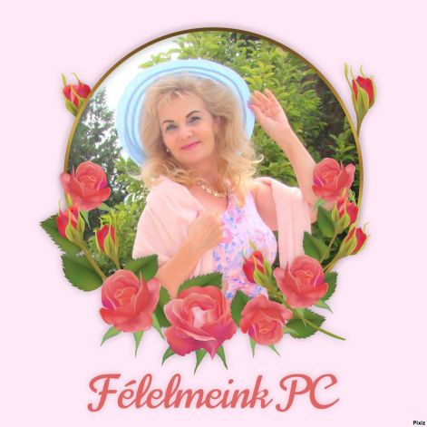 pixiz-03-05-2024-12_29_52.jpg