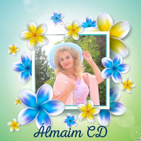 pixiz-07-06-2024-12_24_56.jpg