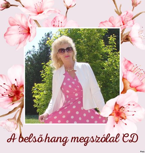 pixiz-26-06-2025-13_12_57.jpg